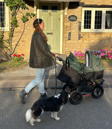 Outnabout Nipper V6 Single Sycamore Green