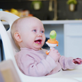 Quark Fruuti Silicone Fruit Feeder