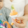 Quark Fruuti Silicone Fruit Feeder