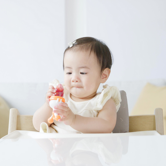 Quark Fruuti Silicone Fruit Feeder