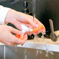 Quark Fruuti Silicone Fruit Feeder