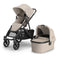 All Buggies