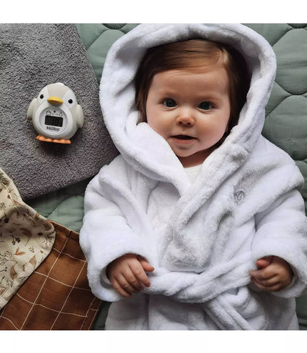 Nuby Bath and Room Thermometer