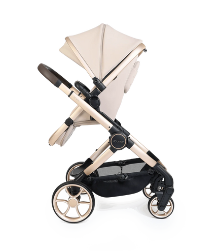 Peach 8 Editions Biscotti - Bundle