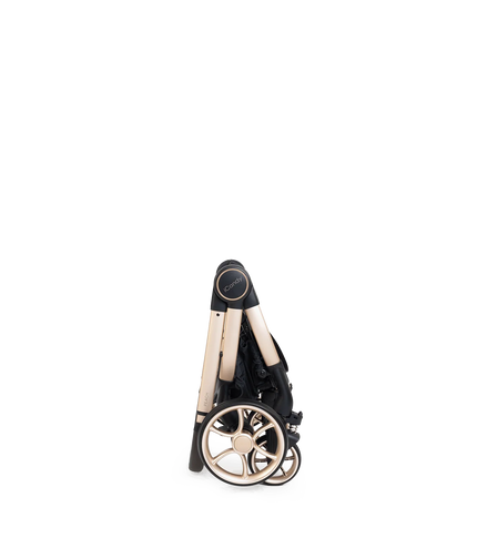 Peach 8 Editions Biscotti - Bundle