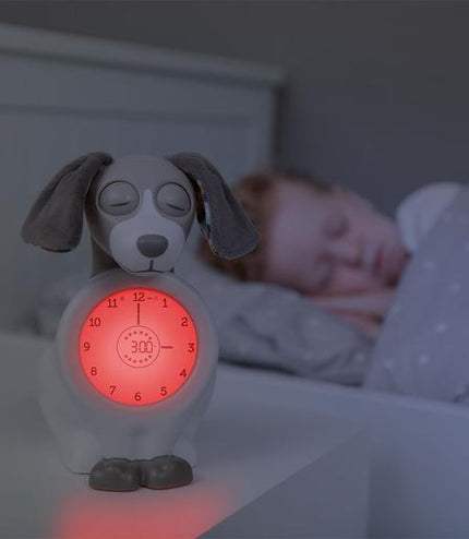 DAVY SLEEP TRAINER - Happy Baby
