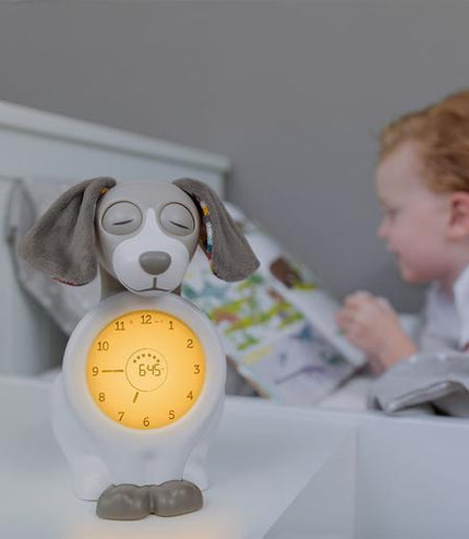 DAVY SLEEP TRAINER - Happy Baby